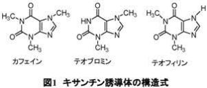 チョコレート製品のカフェイン及びテオブロミン含有量の測定/岸弘子/神奈川県衛生研究所